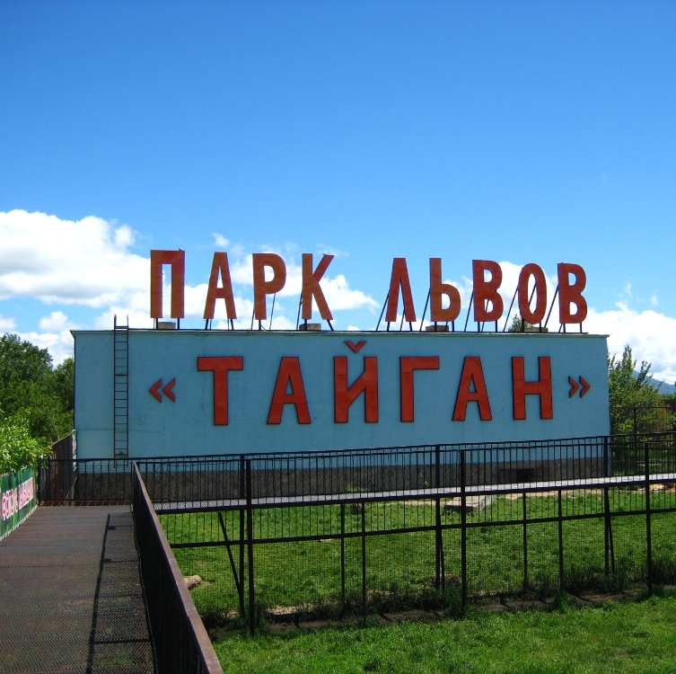 Экскурсия в Тайган из Ялты Парк львов| Крымские Экскурсии kr-ex.ru +7978 0101810