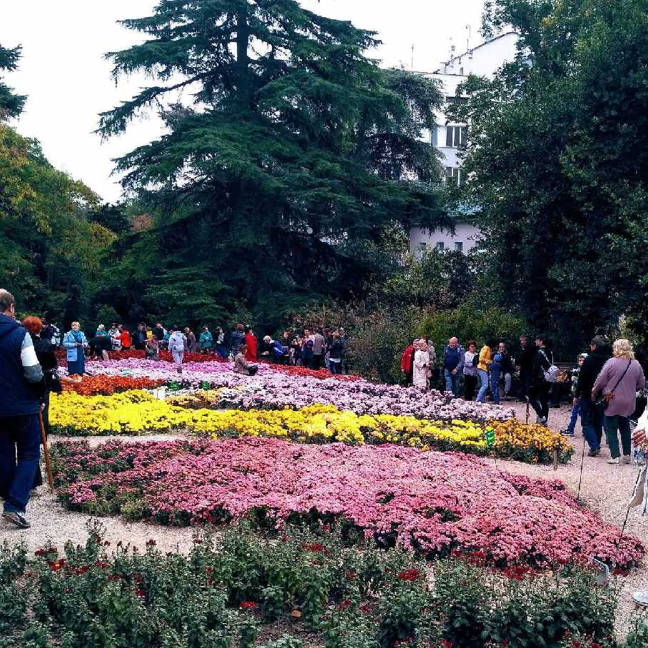 Хочу в Ялту на 3 дня Никитский ботанический сад| Крымские Экскурсии kr-ex.ru +7978 0101810